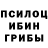 Галлюциногенные грибы Cubensis Geronimo Martinez