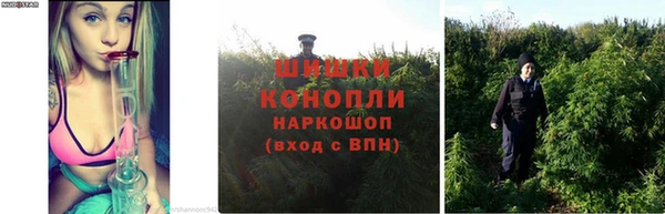 скорость mdpv Нефтекумск
