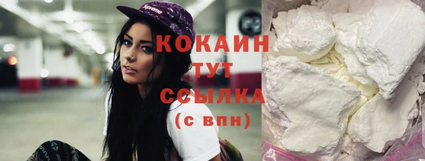 индика Нея