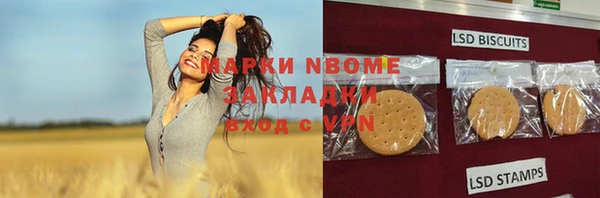 индика Нея