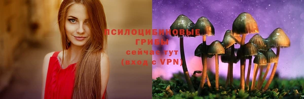 дурь Нефтегорск