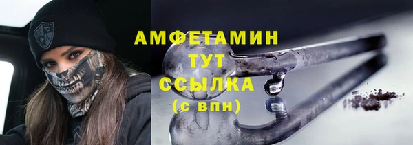 индика Нея