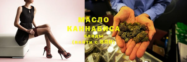индика Нея