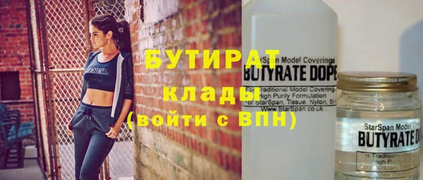 индика Нея