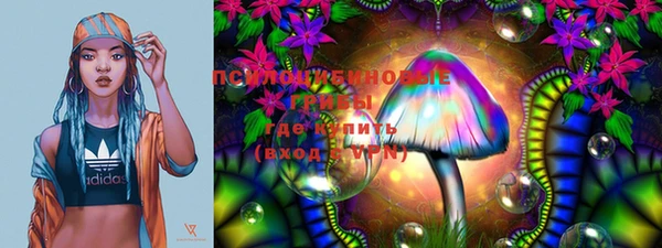 индика Нея
