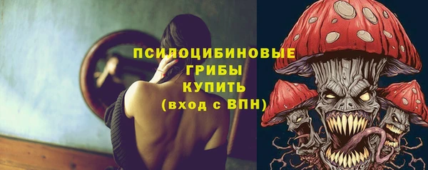 индика Нея