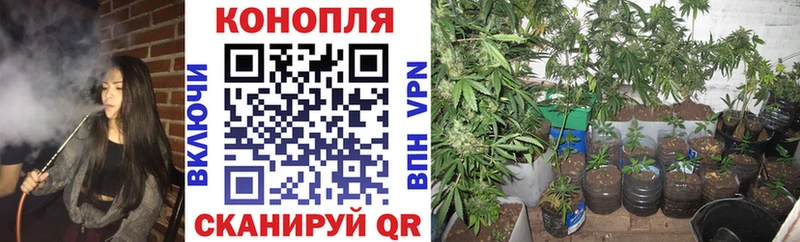 Купить закладки  Можга  Бошки Шишки SATIVA & INDICA 